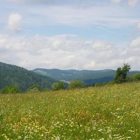 Parkhotel Waldlust Hotel