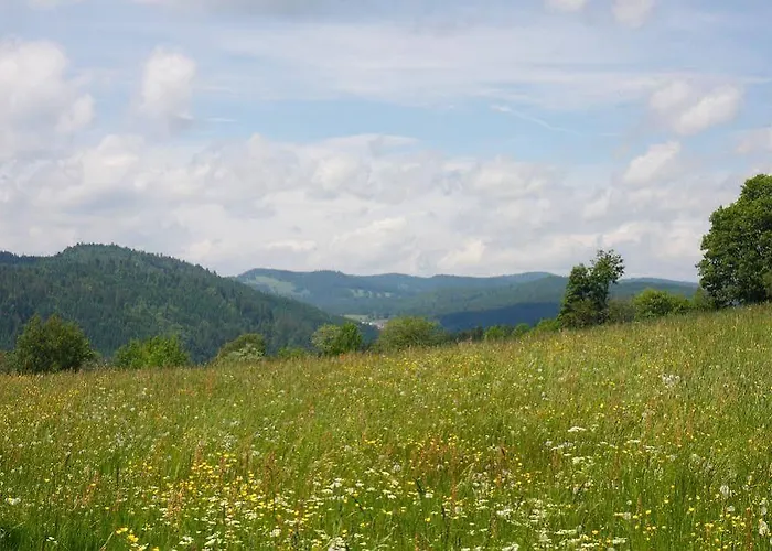 Parkhotel Waldlust Hotel