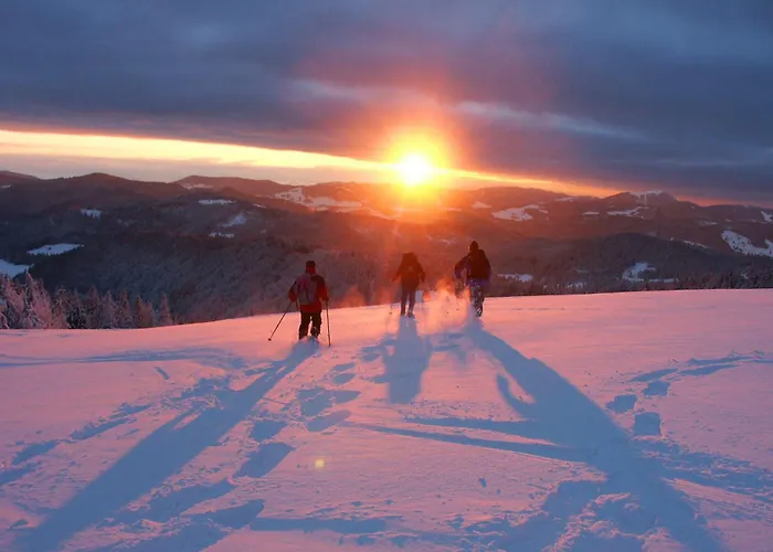 Parkhotel Waldlust Hotel